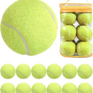 Tennis Balls 12 Pack, Training Balls, Playing Ball For Pets, Cats, Dogs, Sports Practice Beginners,